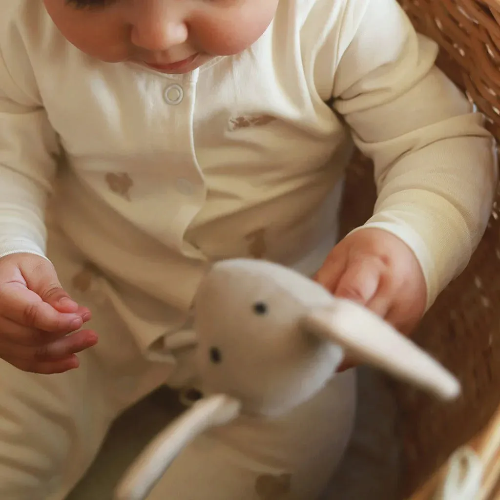 Embroidered Jersey Sleepsuit - Bunnies