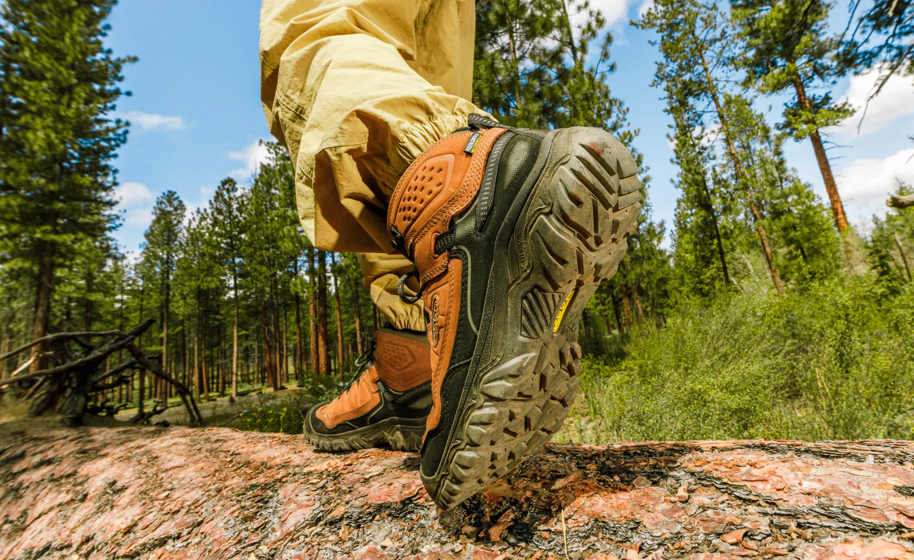 Men's Targhee IV Waterproof Hiking Boot  |  Canteen/Khaki