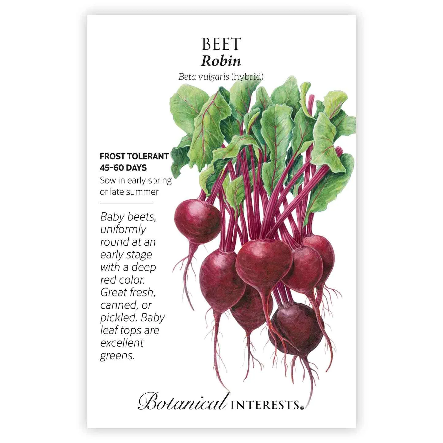 Robin Beet Seeds