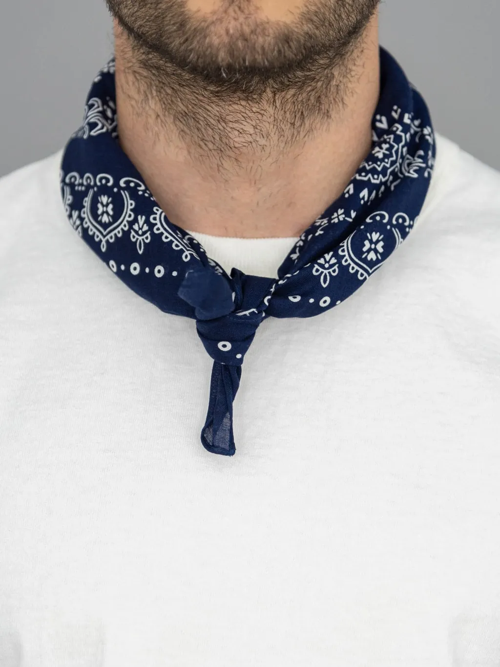 The Flat Head Bandana